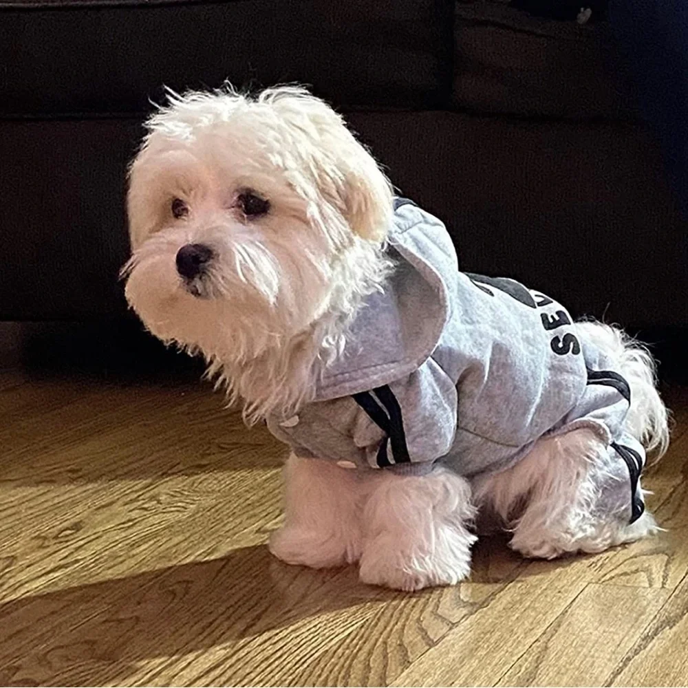 Adidog pet dog cat puppy sweater shirt - Picture 1 of 6
